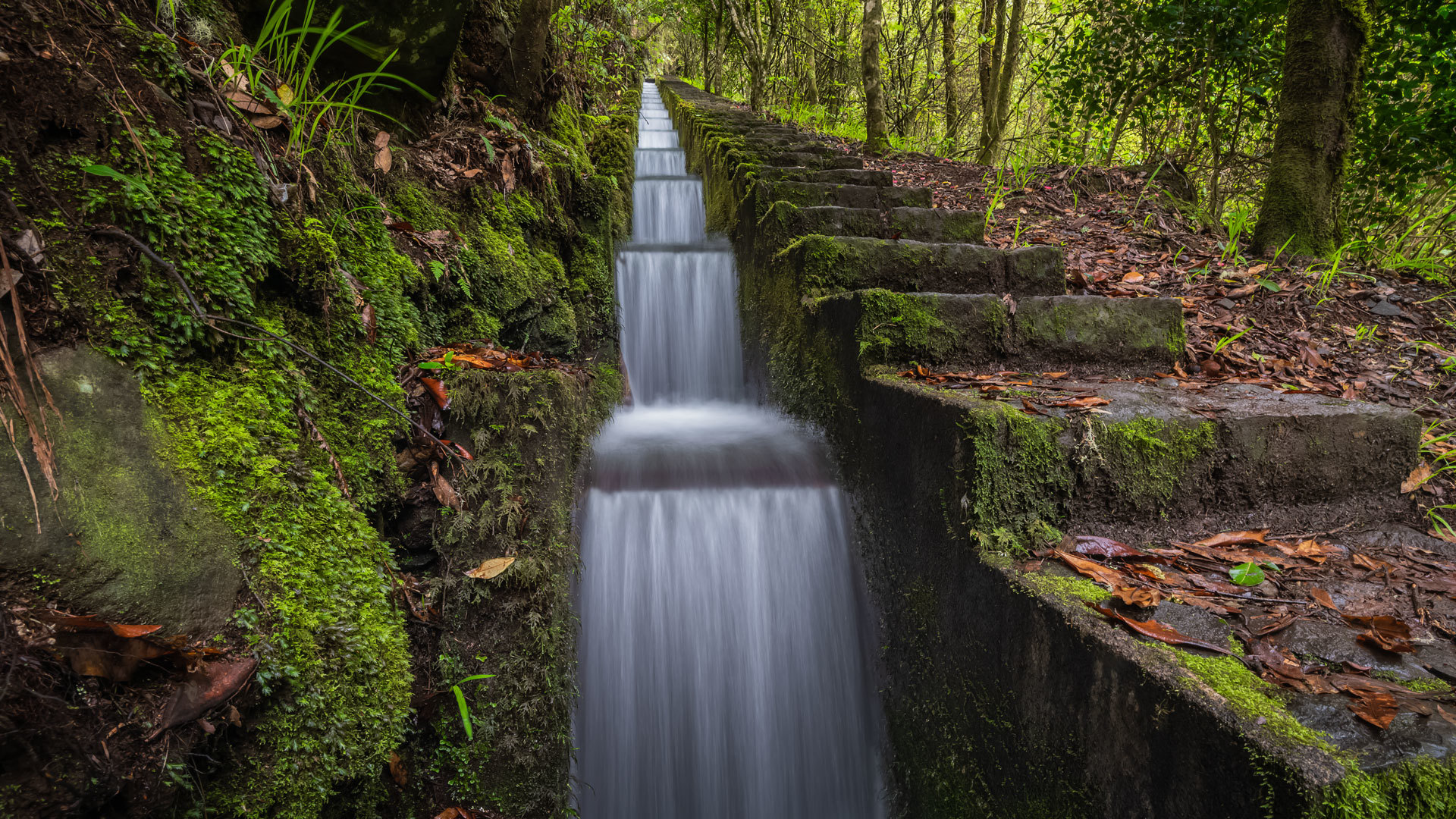 Levada com água a correr em cascata sobre degraus naturais na Madeira.