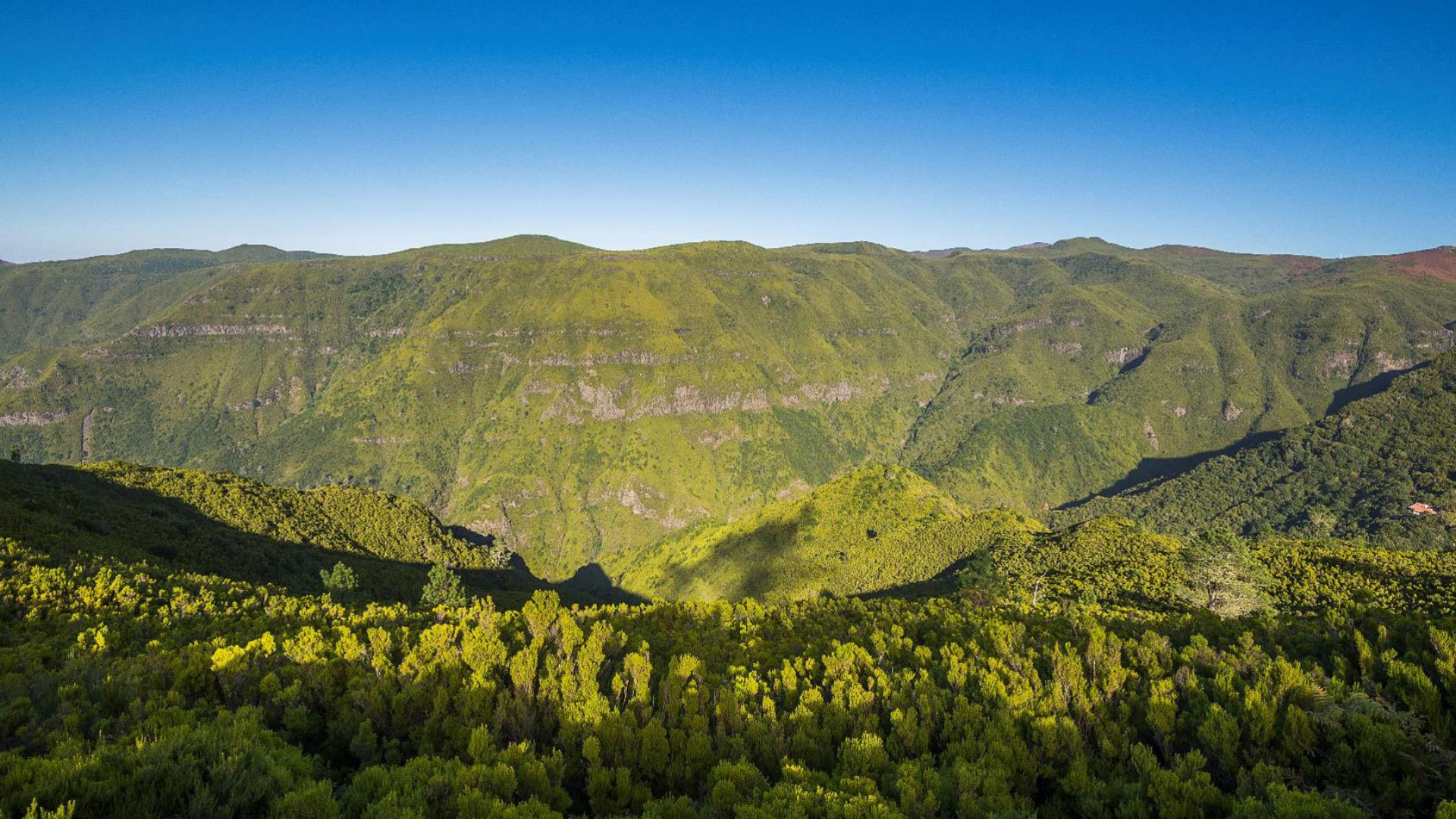Mountains covered in dense vegetation under a blue sky.