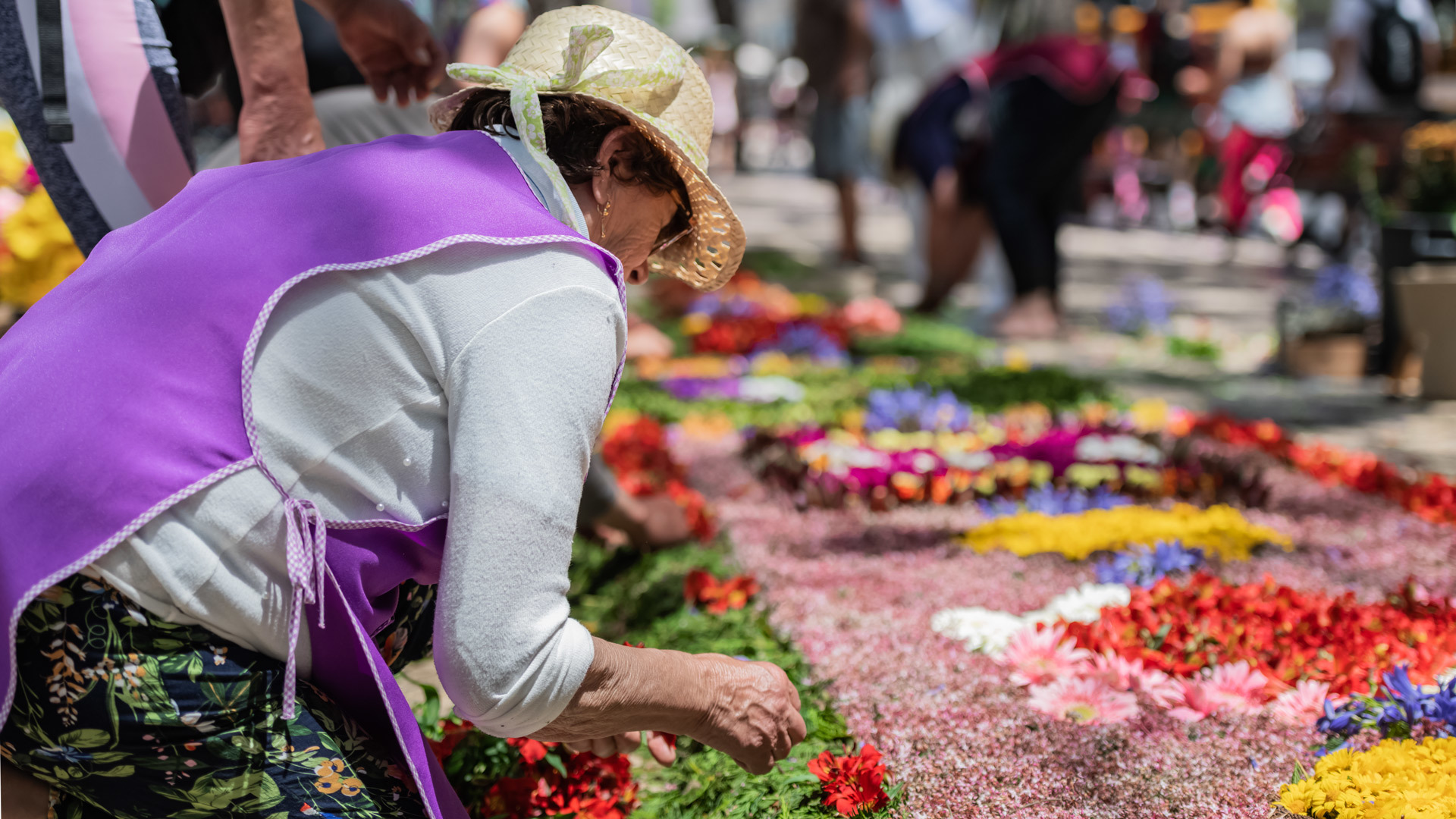 fiesta de la flor madeira 27