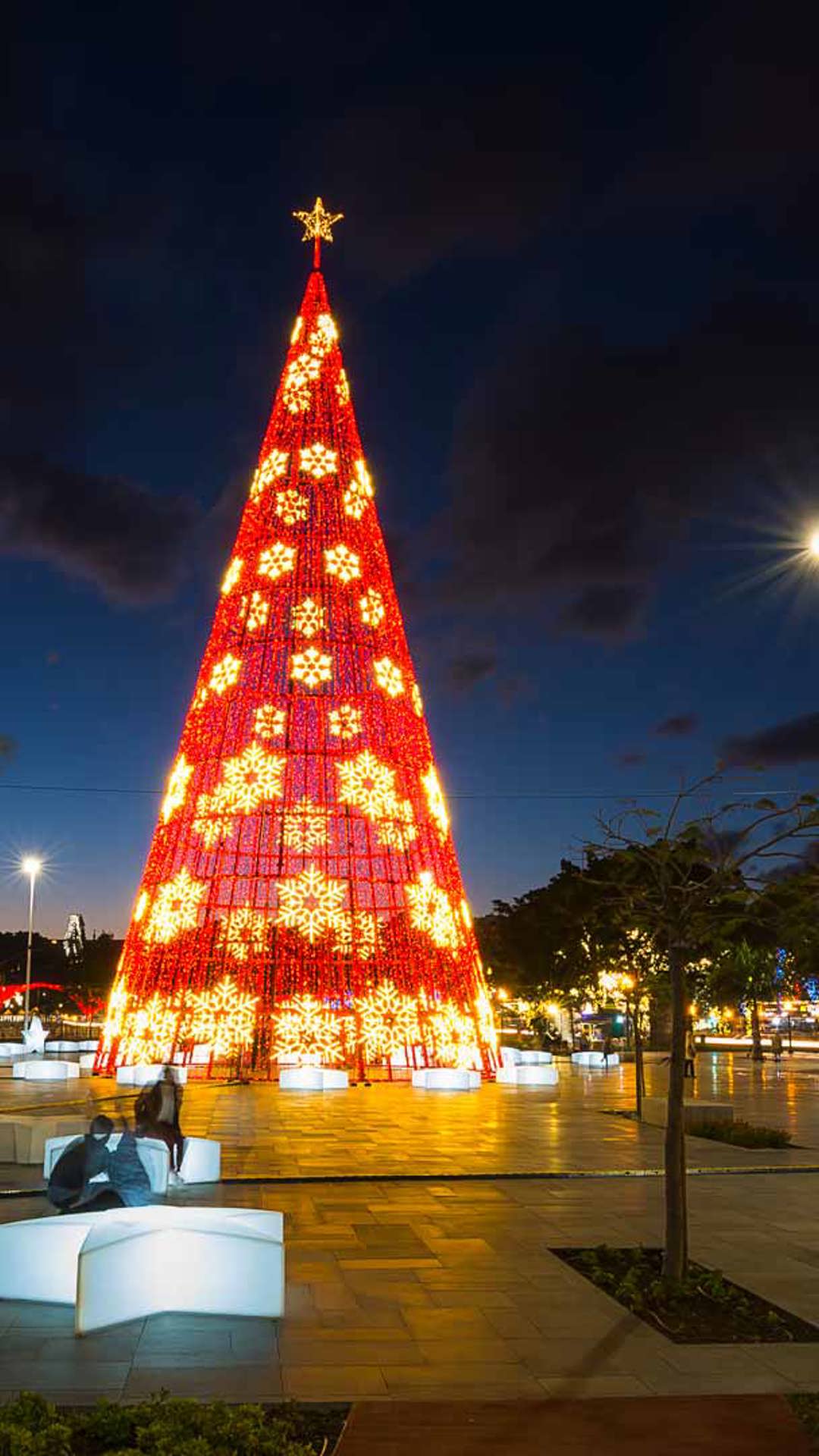 Árvore de Natal iluminada com luzes no Funchal, Madeira.
