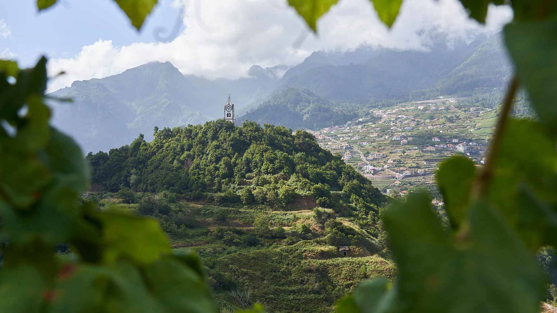 Mountain view surrounded by nature on Madeira Island.