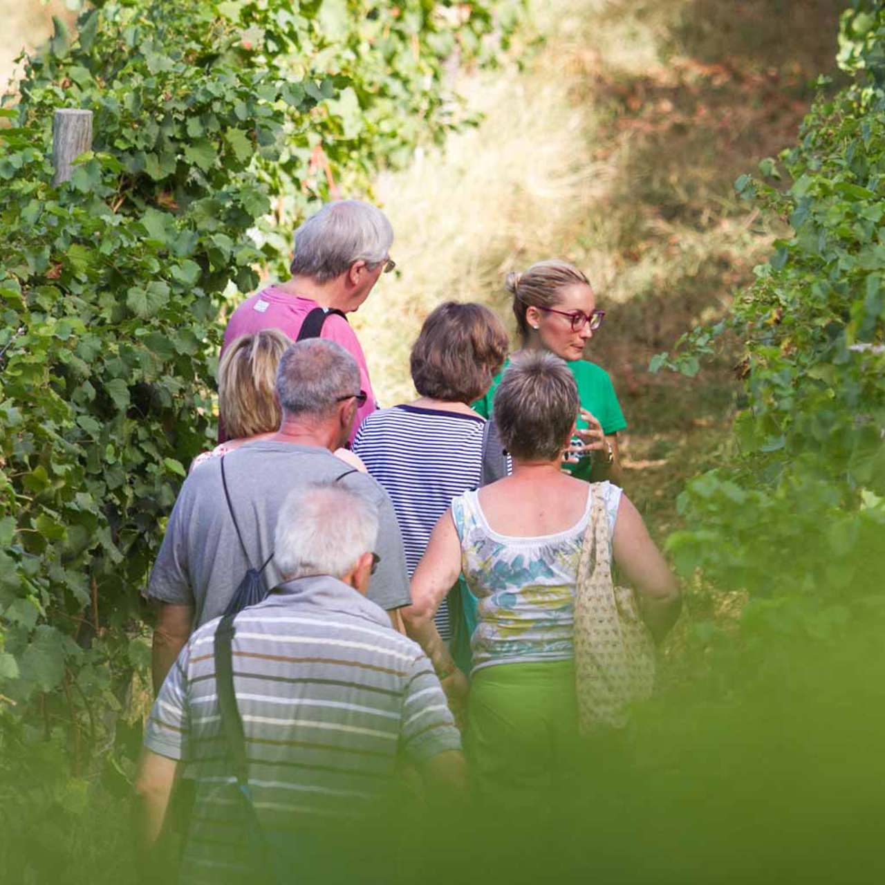 Menschen spazieren durch die Weinberge auf der Insel Madeira.