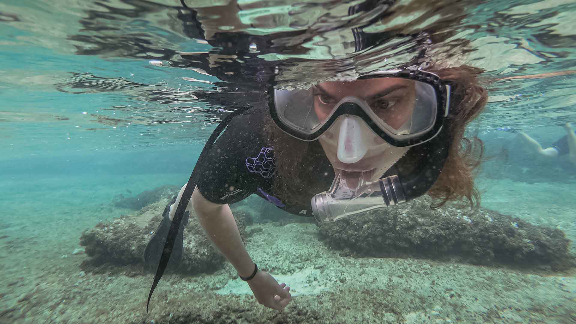 spot snorkeling madere 2