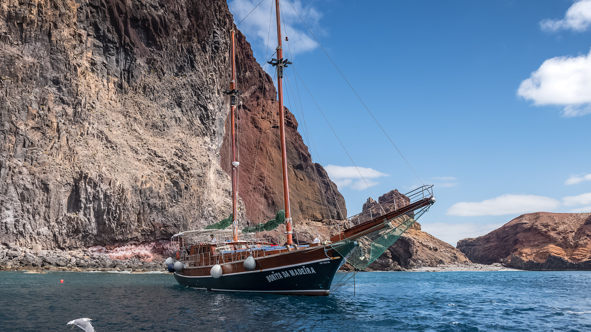 bonita da madeira 7