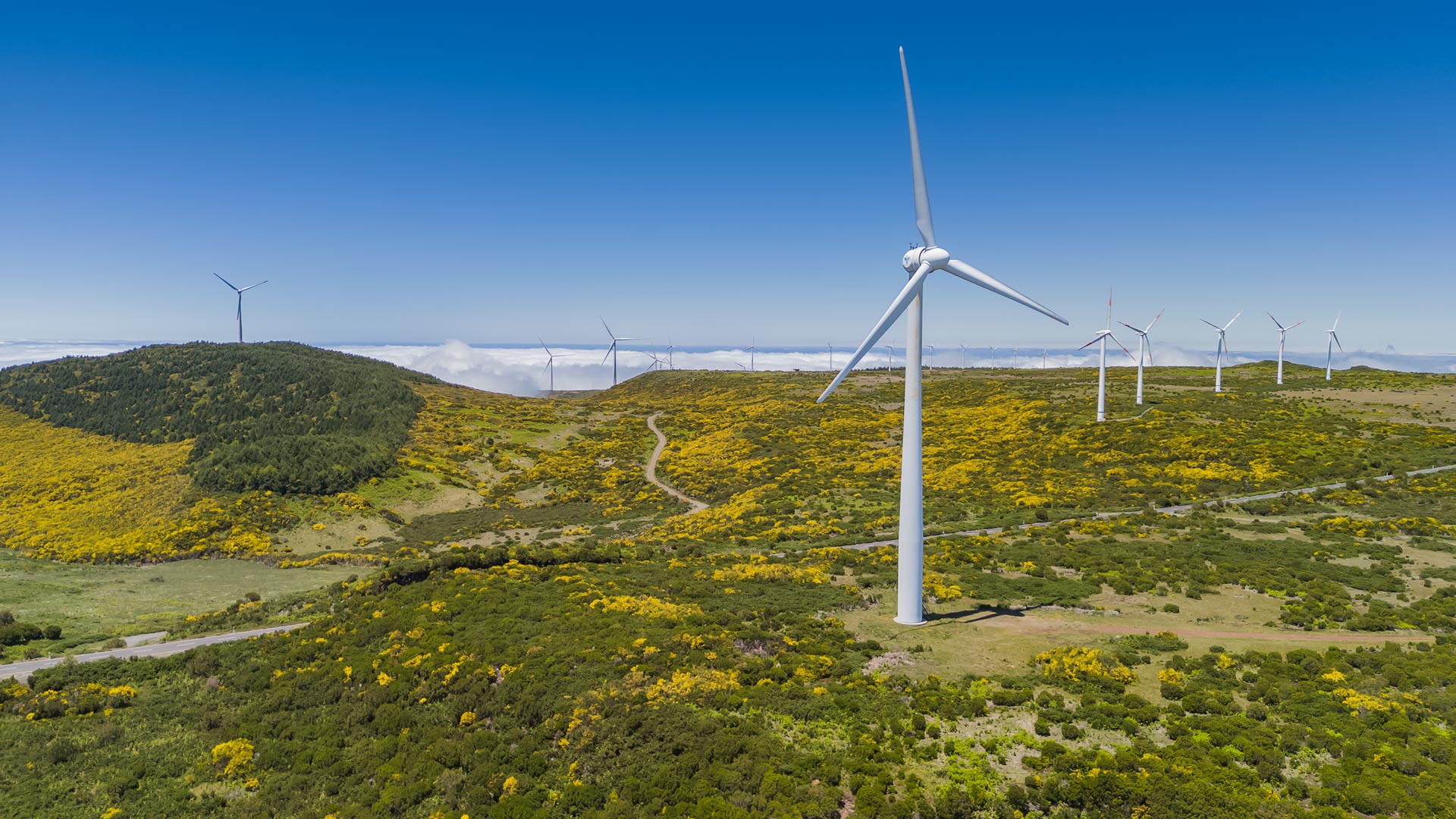 Naturlandschaft mit Windrädern.