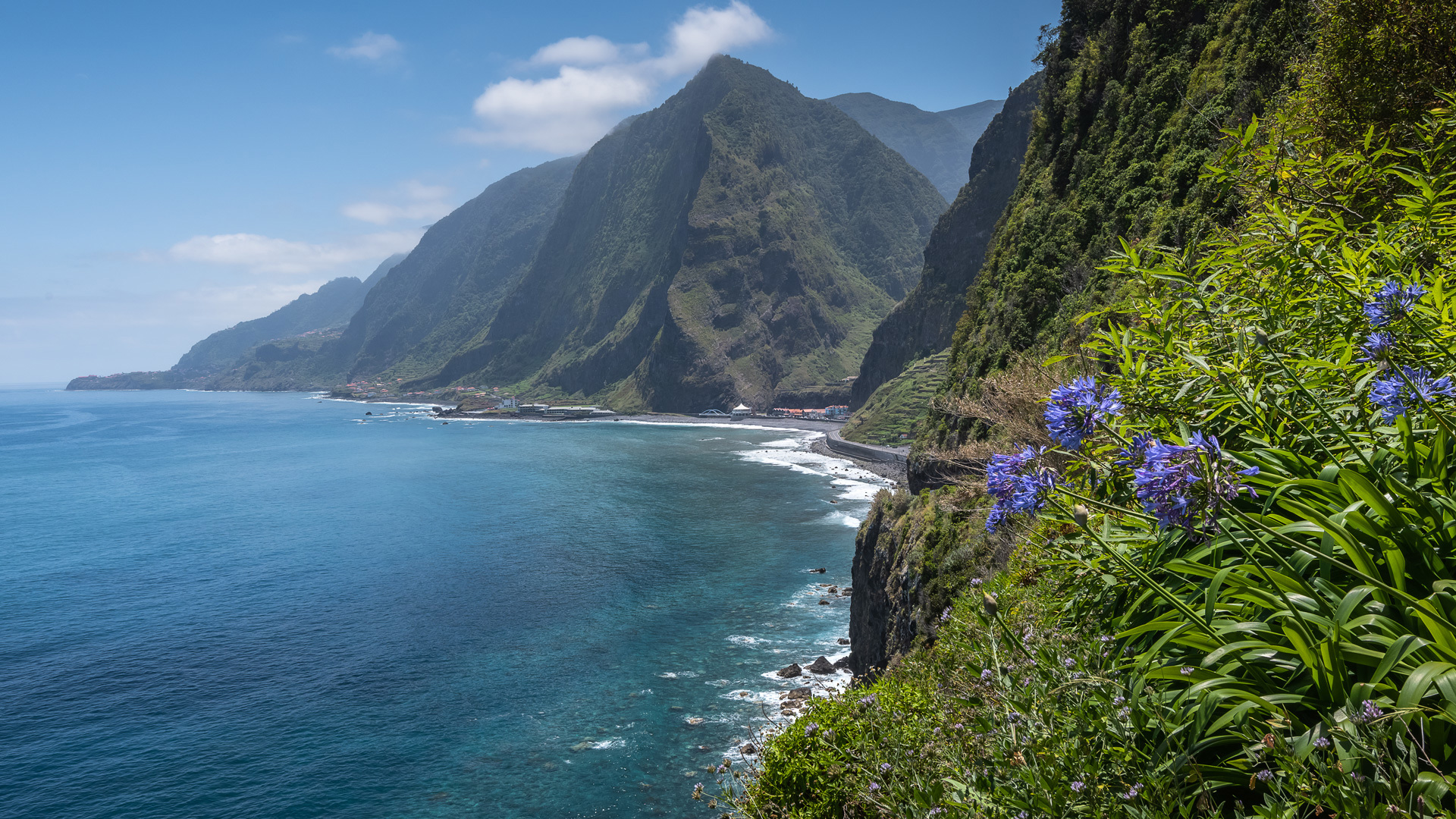 Mountain overlooking the sea with plants nearby.