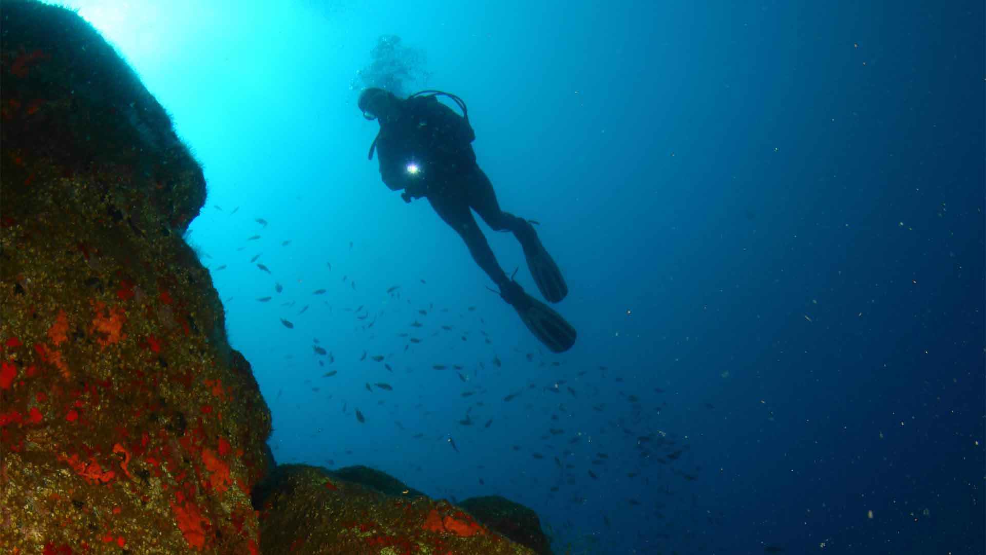 mergulho madeira 7