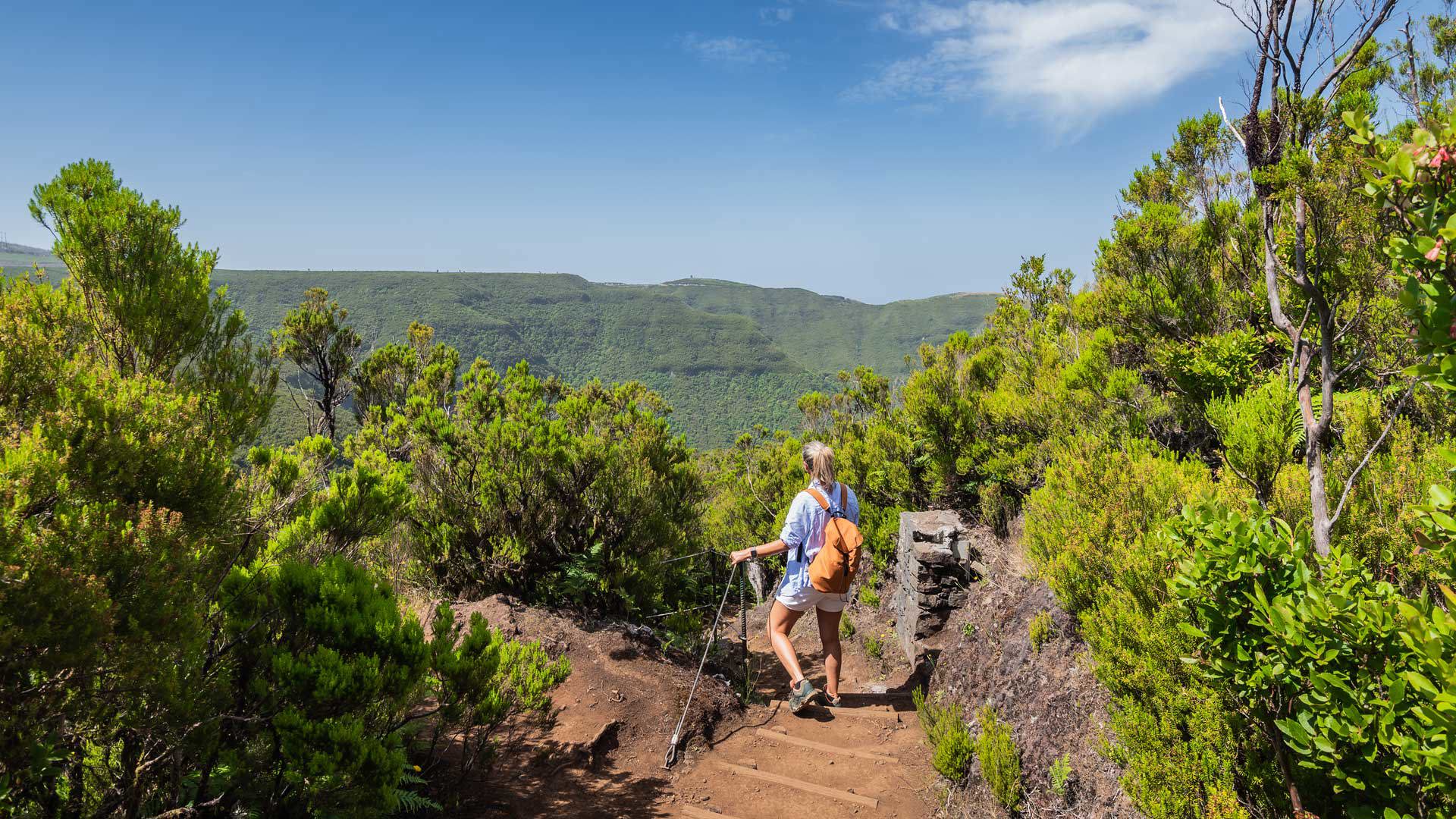 Frau wandert auf einem Pfad, umgeben von Bäumen. 