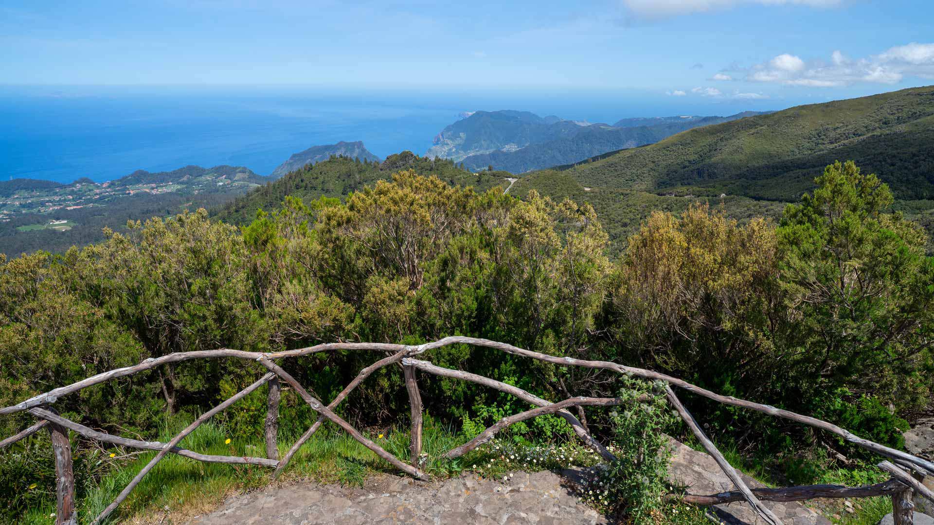 Cerca rústica con vegetación verde y mar al fondo.