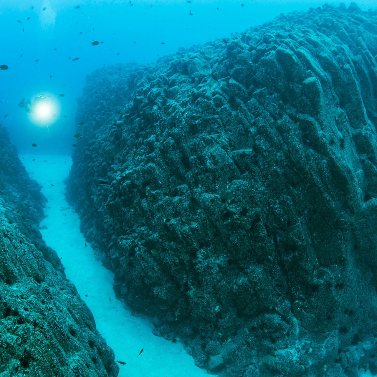 Person springt vom Felsen ins Meer.