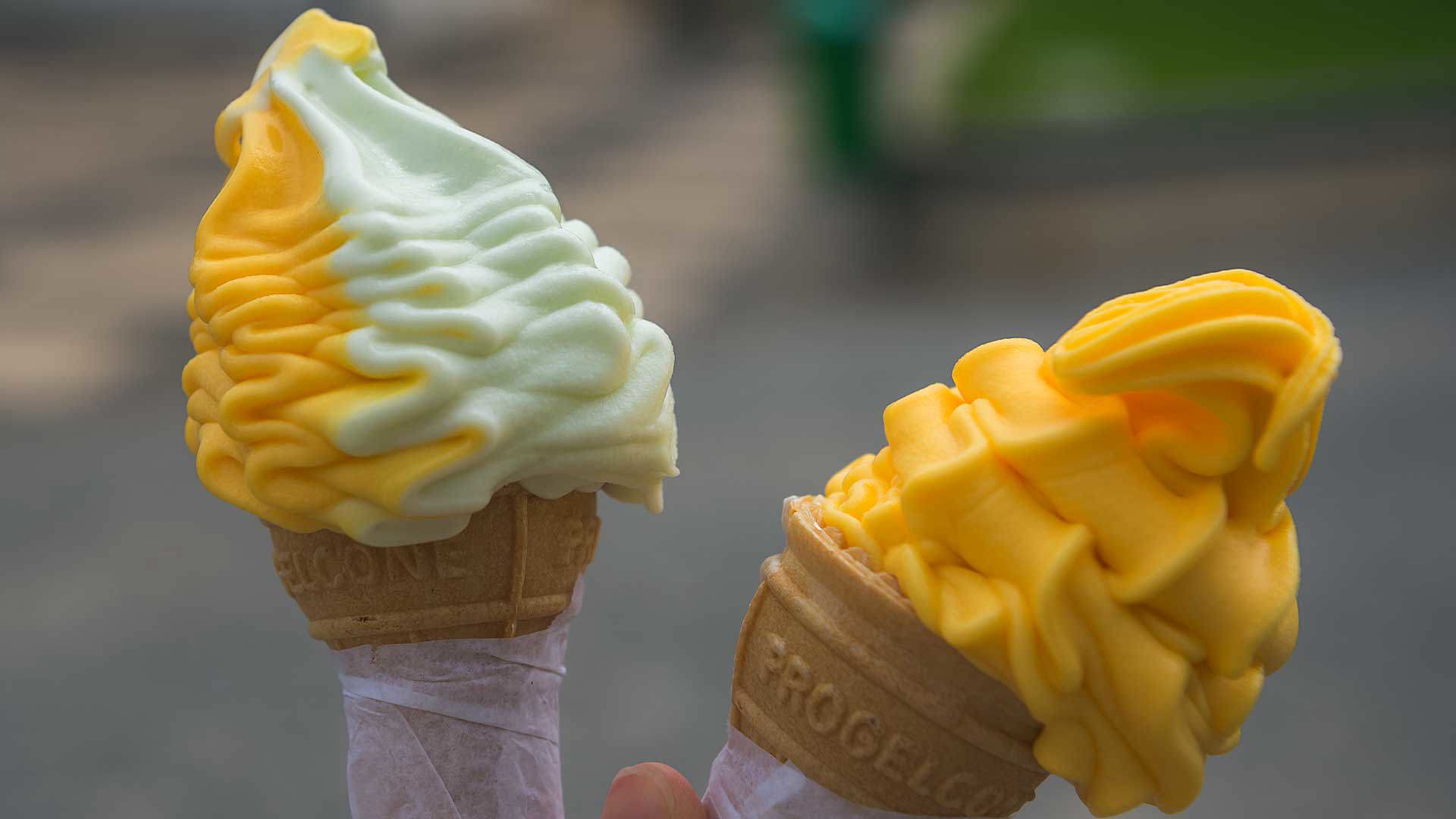 Duas lambecas seguradas na mão de uma pessoa.