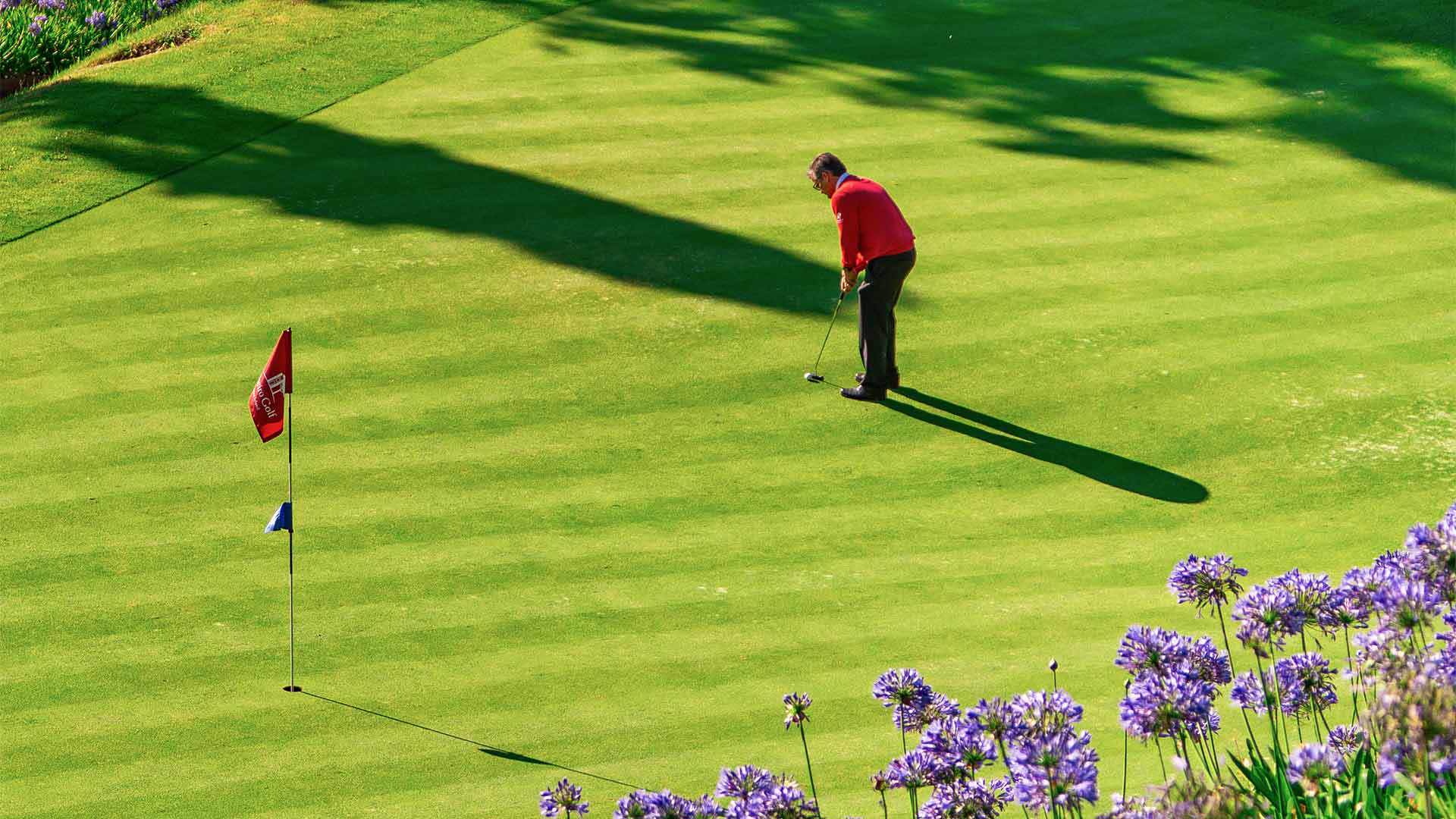 palheiro golf madeira 3