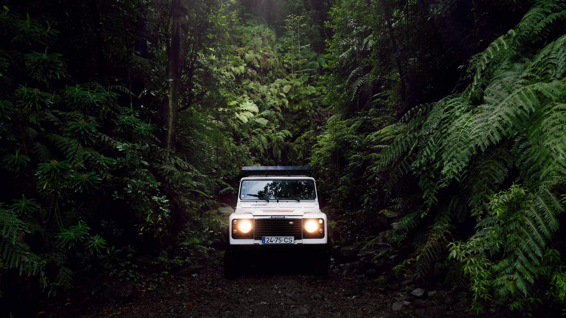 bravelanders madeira 14